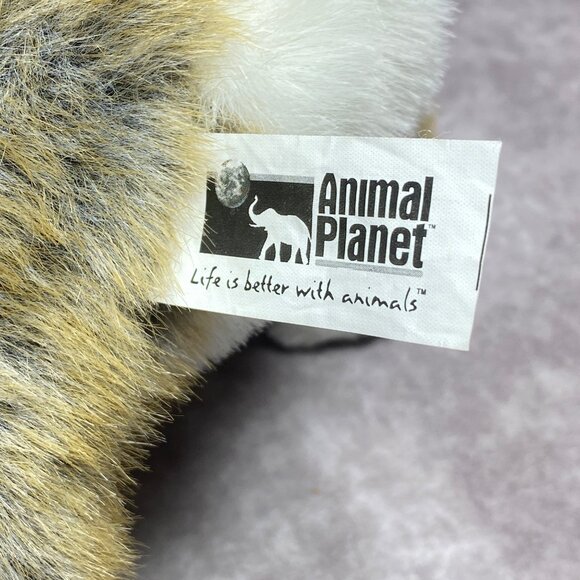 Animal Planet Plush Koala Bear Stuffed Toy With Green Leaf 11.5" - Picture 2 of 10